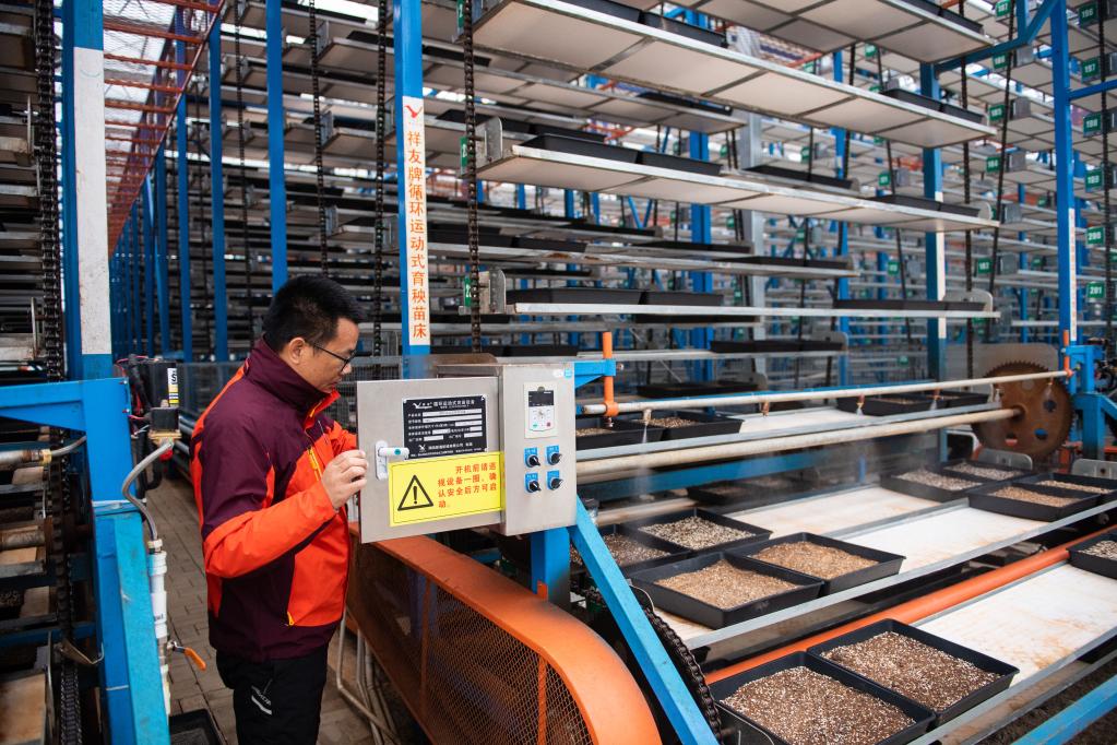 春耕新畫卷 湖南水稻大省的“保姆式”服務、智能工廠與連片沃土